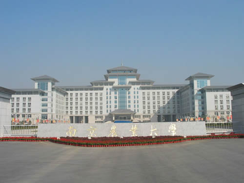 南京农业大学文凭(南京农业大学有大专学历吗)