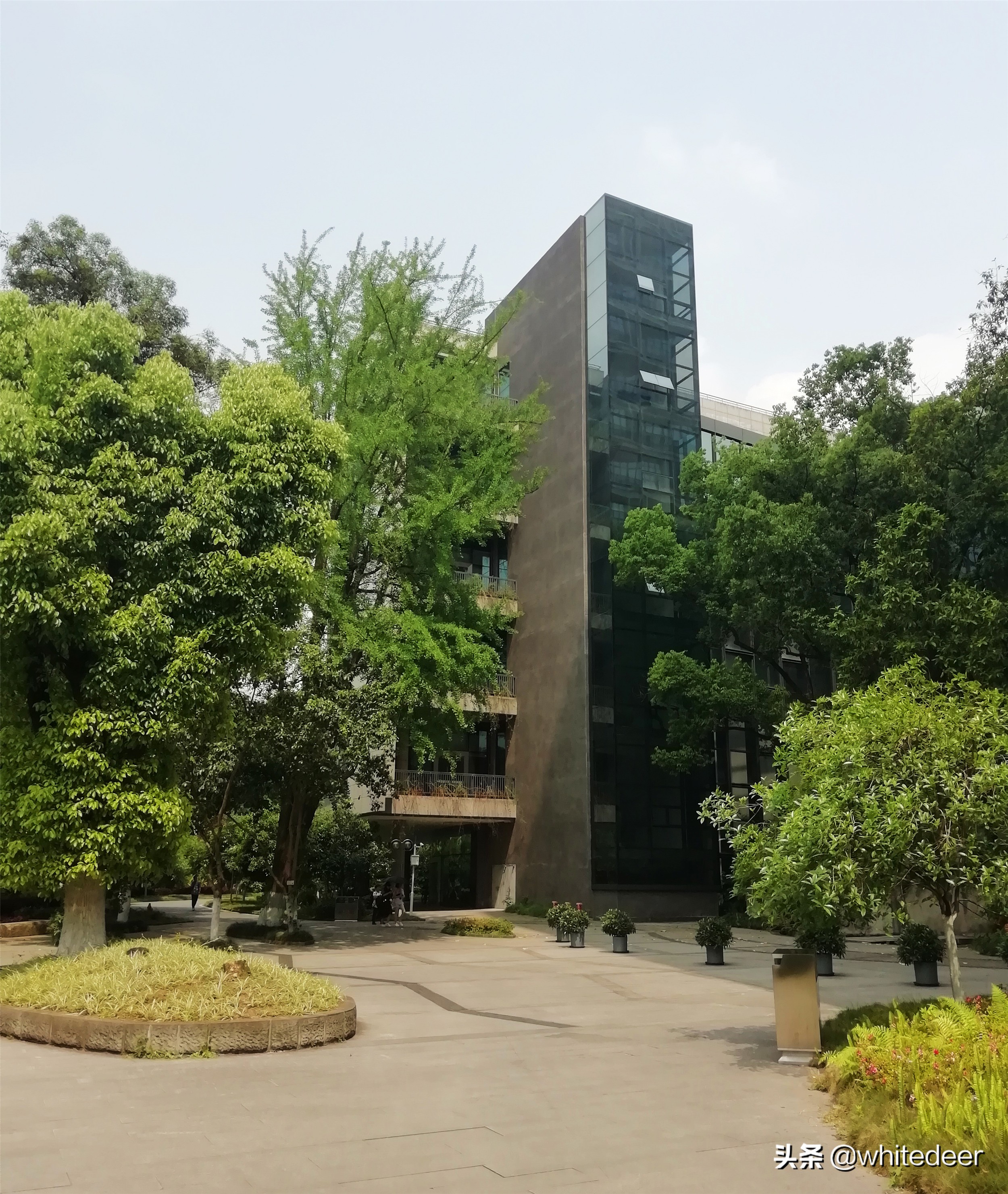 西南大学(西南大学地理科学学院)