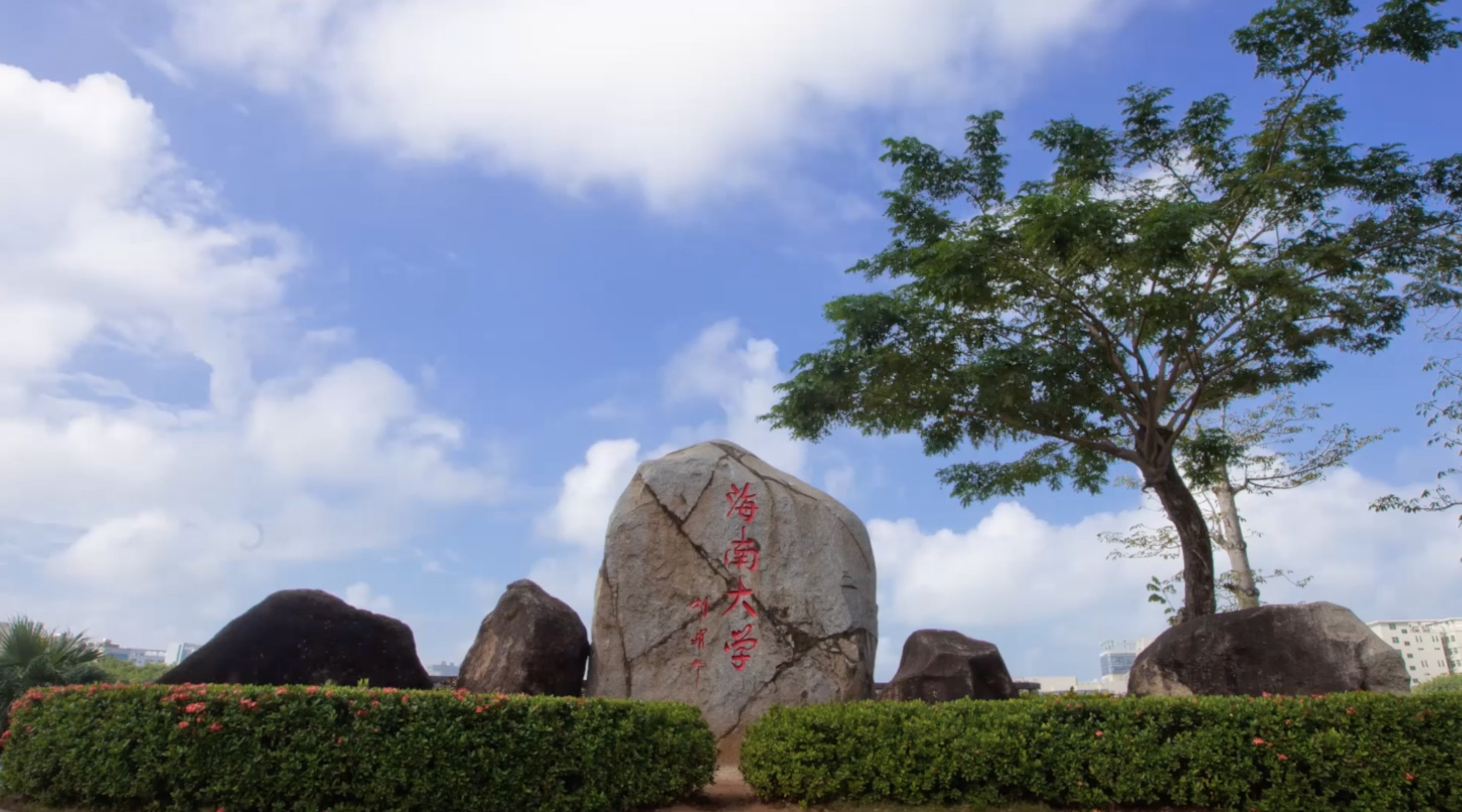 海南大学(海南大学药学院)