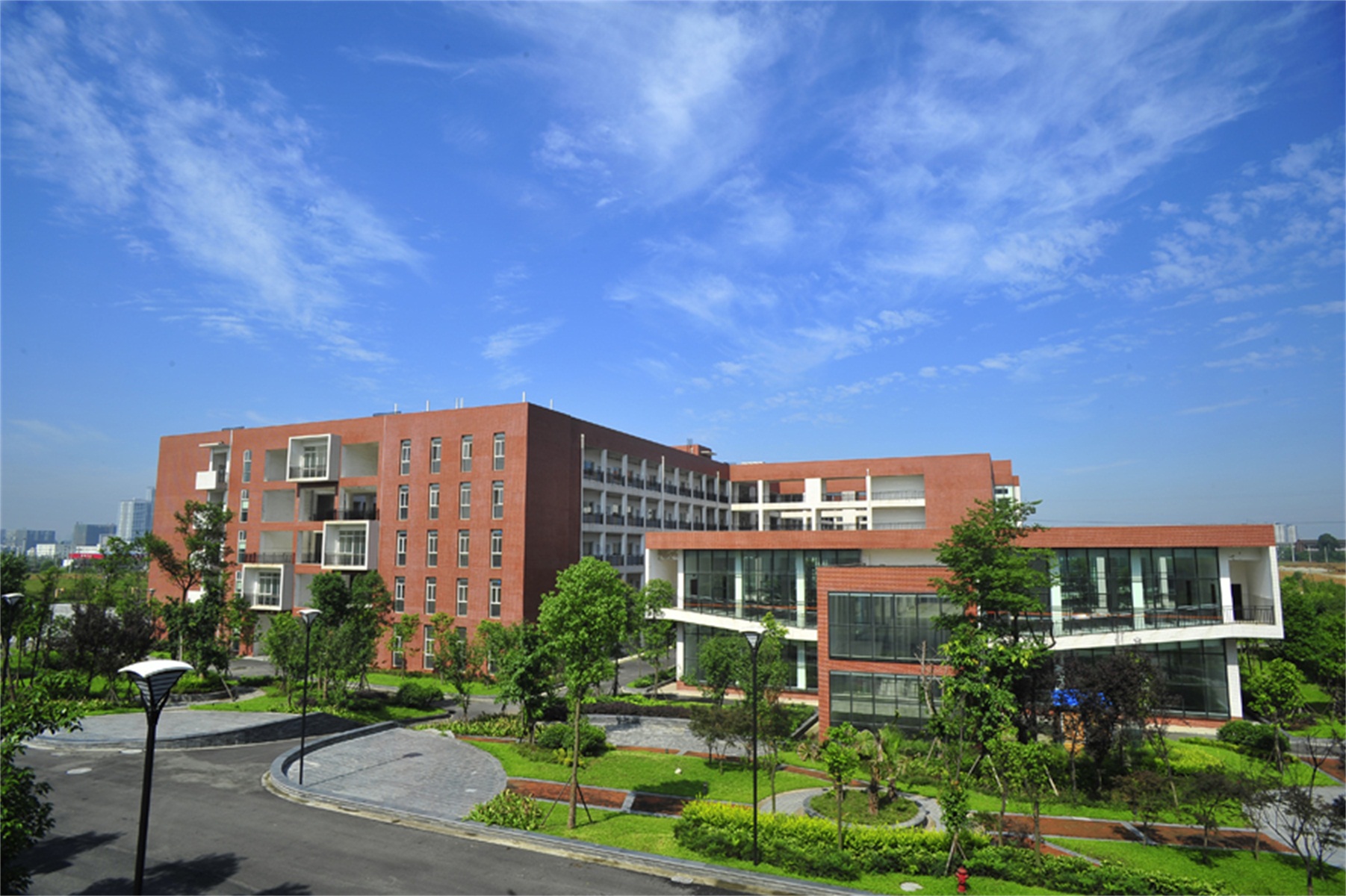 西南财经大学毕业证(西南财经大学毕业证样本)