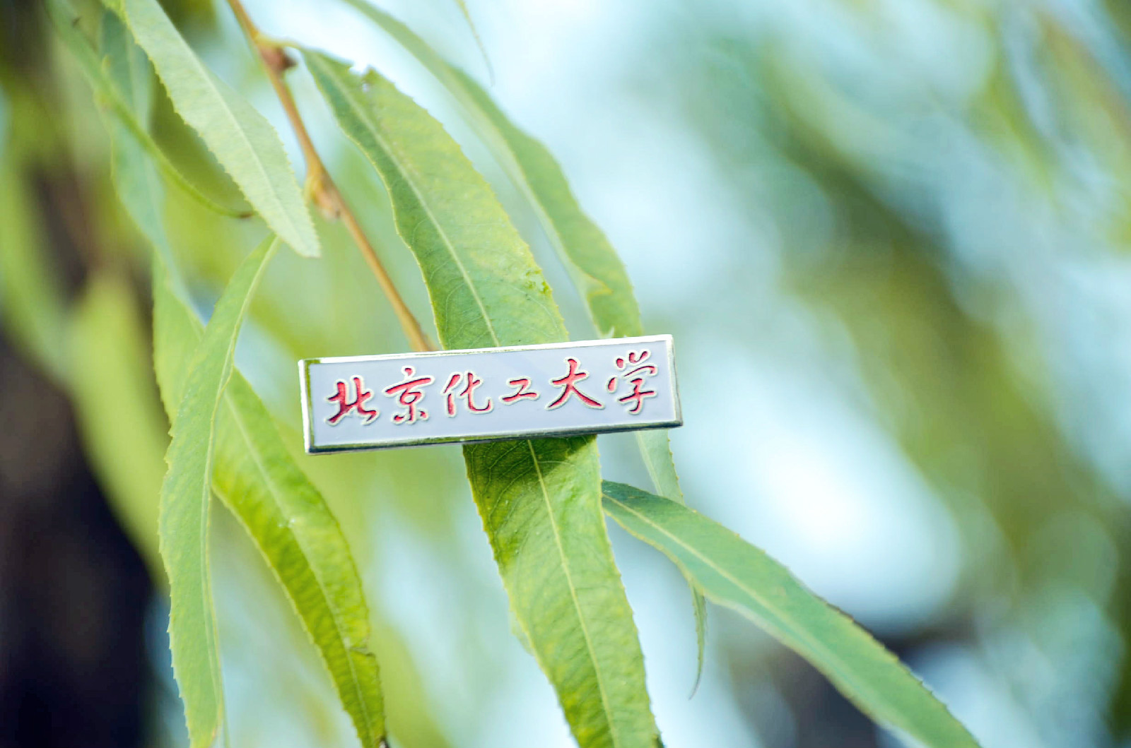 北京化工大学文凭(北京化工大学的学院)