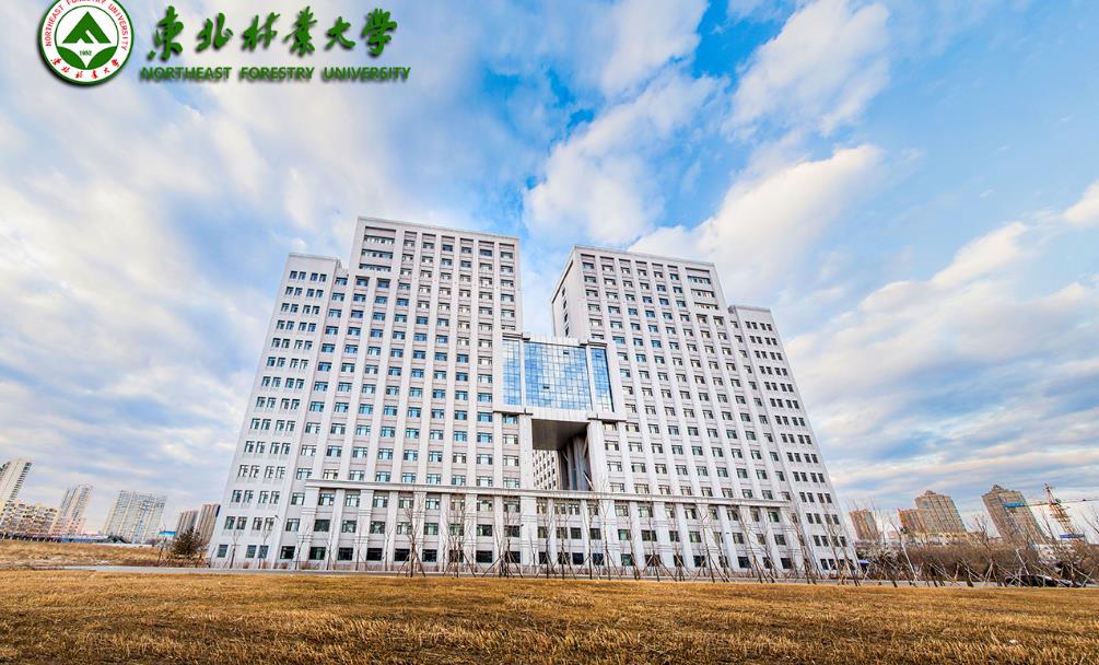 东北林业大学毕业证发放时间