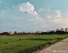广西大学毕业证样本图片