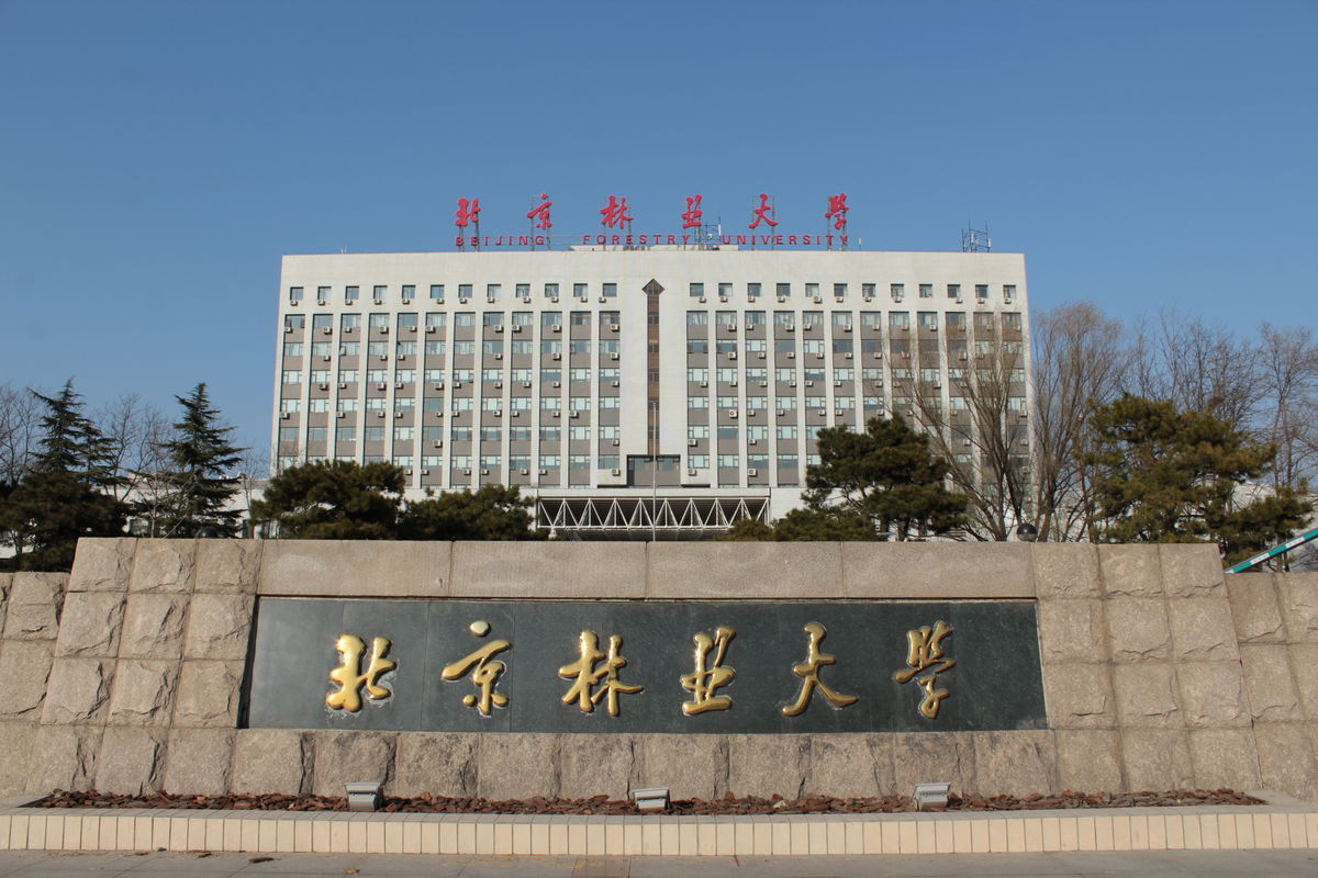 北京林业大学毕业证什么时候发
