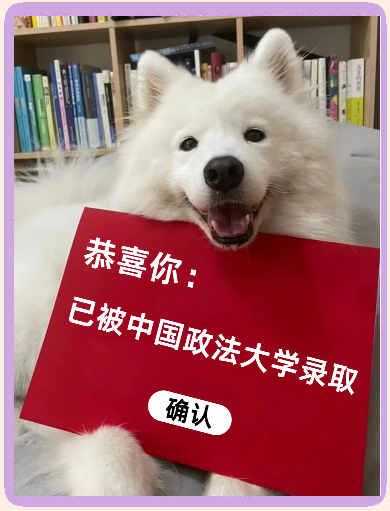 中国政法大学在哪个城市