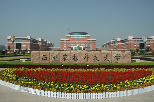 西北农林科技大学几年制