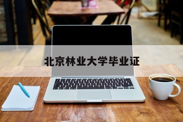 北京林业大学毕业证查询系统
